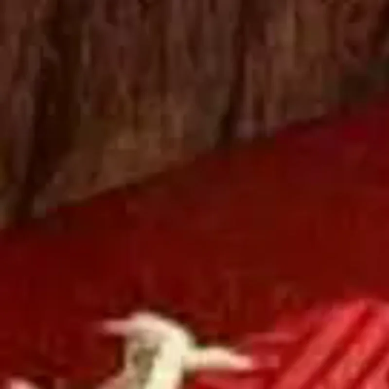 

6pcs Gold 2026 Horse Year Red Envelope Thickened Hard Paper Hongbao Chinese New Year Money Envelopes for Celebrations