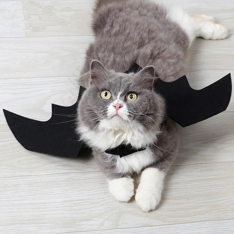 Pet Bat Wings