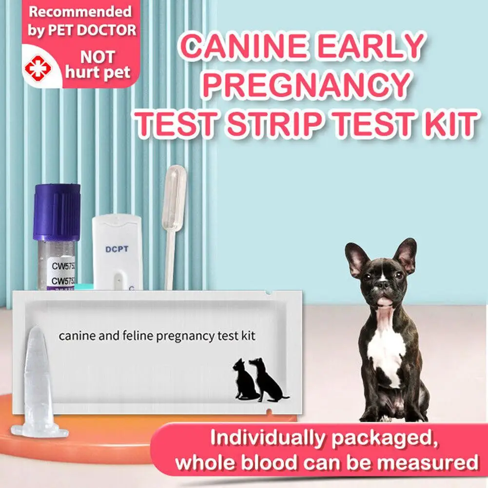 Carte de test de grossesse pour chien, félin canin, kit de bandelettes de test de grossesse précoce, sérum sanguin, méthode pour chien et bouledogue, L1u9