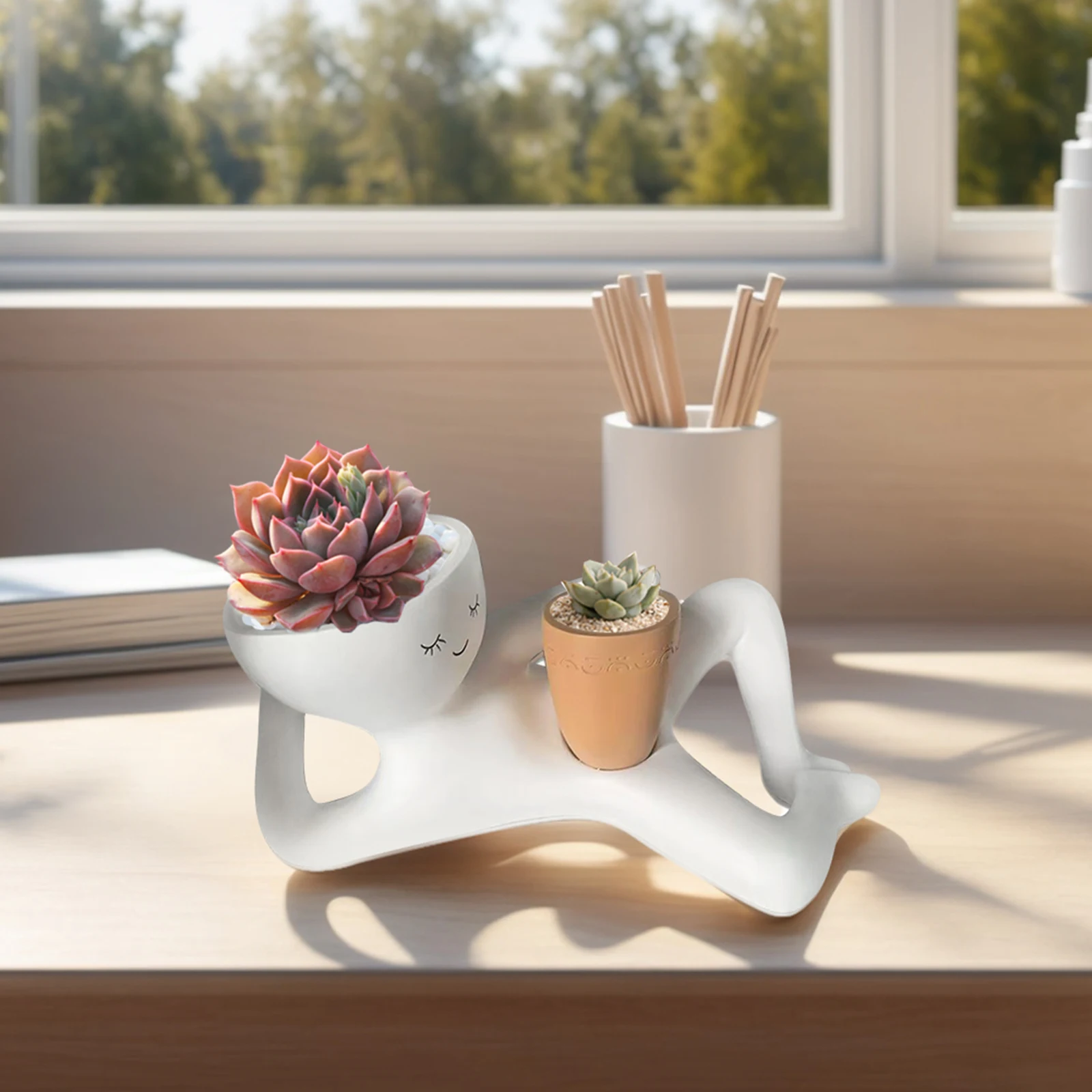 Lazy Guy Planter with Drainage - Echeveria Succulent review and price