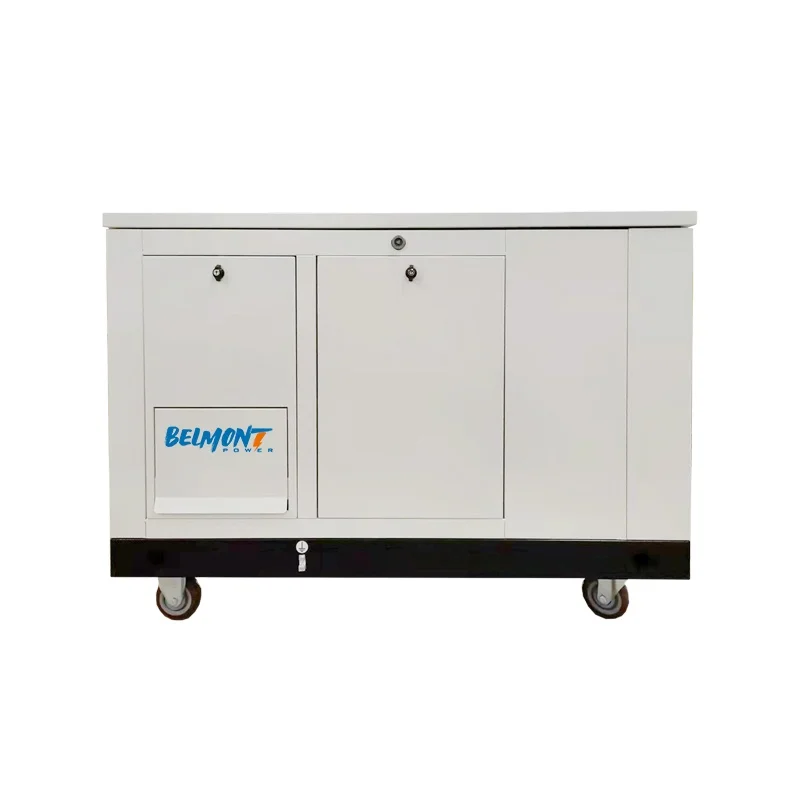 

230v 400v 15kw 17.5kv 19Kva 20kva 16kw 25kva 36kva 20kw 22kw lpg generator 10kw Natural Gas Generator