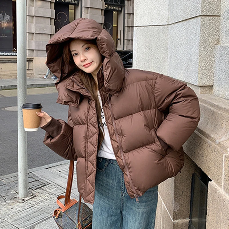 

Женская зимняя куртка-парка из корейского хлопка 2025 года: свободная, утепленная, теплая, с капюшоном, модная, универсальная, на молнии, стеганая, на хлопковом наполнителе