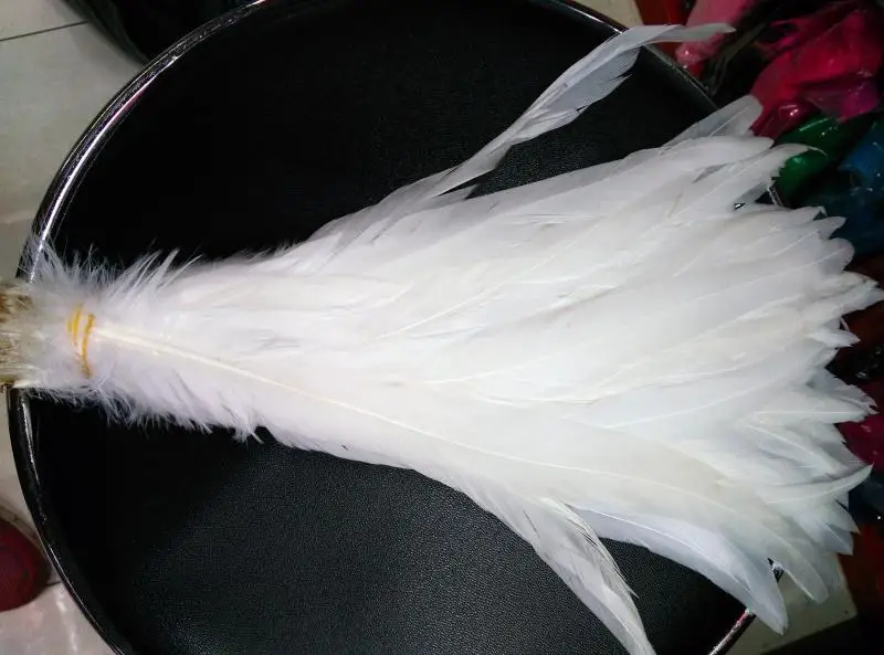 Pure White Rooster Tail feather 50pcs DIY Feathers 20-45cm/10-18inch For Costume & Mask Coque