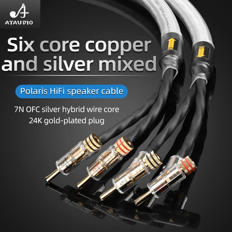 Cavo per altoparlante HiFi Cavo per altoparlante principale schermato con spina a banana autobloccante tipo pistola mista in rame-argento