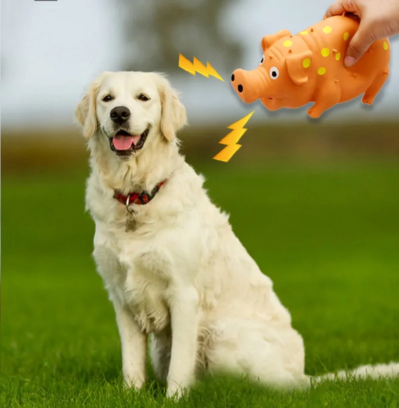 Pet Dog Sounding Piggy Squeak Bite Resistant Toys for Small Large Dog Interactive Puppy Toy Chew Toy Pet Tooth Clean Accessories