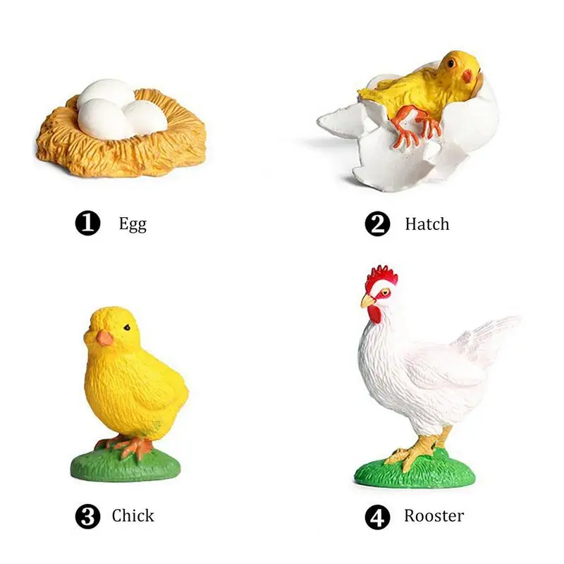 Small Chick Figurines 8 Pcs Small Chick Livespan Models Educational Chicken Toys Vivid For Boys Girls Nursery Children