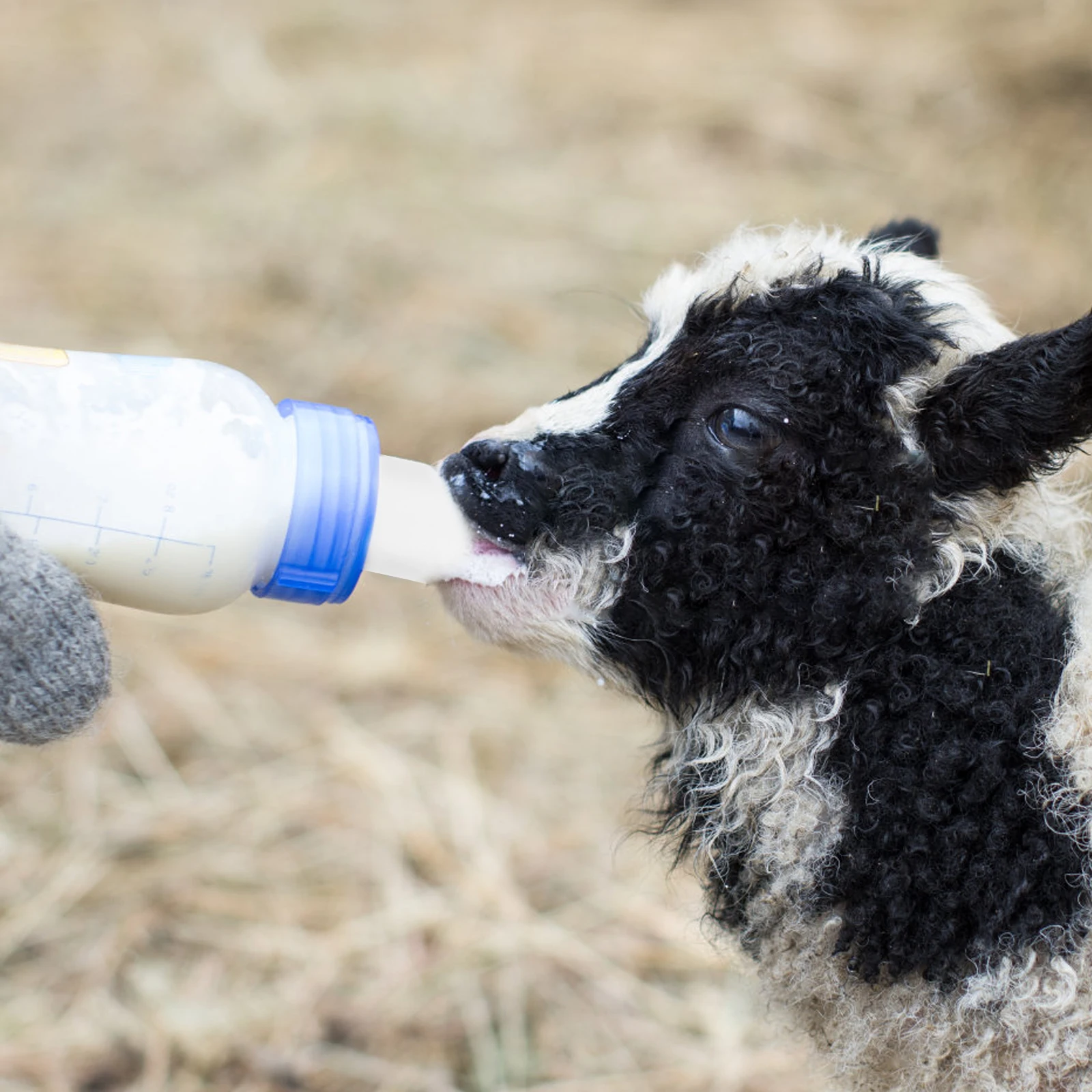 

10Pcs Farm Lamb Rubber Pacifier Milk Drink Nipples for Sheep Goat Calf Easy Install Clean Adjustable Flow Special Flutter Valve