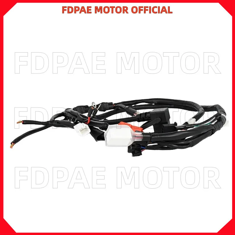 الكابل الرئيسي للدراجة الكهربائية Wuyang Honda Ube Zoomer e #5