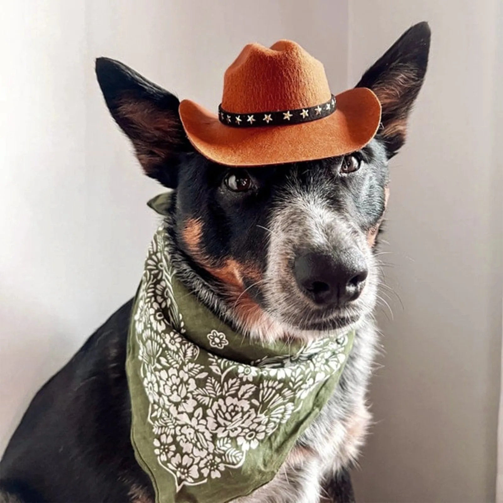 British Pet Dog Hat Star Cowboy Hat Pet Supplies Adjustable Dog Costume Top Hat Headwear Pet Hat Dogs Caps Pet Sun Hats For Cats