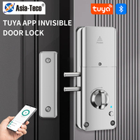 Home Smart Door Lock Handle Hidden Battery Anti Theft Smart Electronic Keyless Lock Security Entry With Tuya App Alexa Google