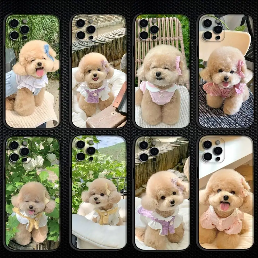 

Cute Teddy Phone Case For iPhone 16,15,14,13,12,11 Plus,Pro Max, Others Soft Black Cover