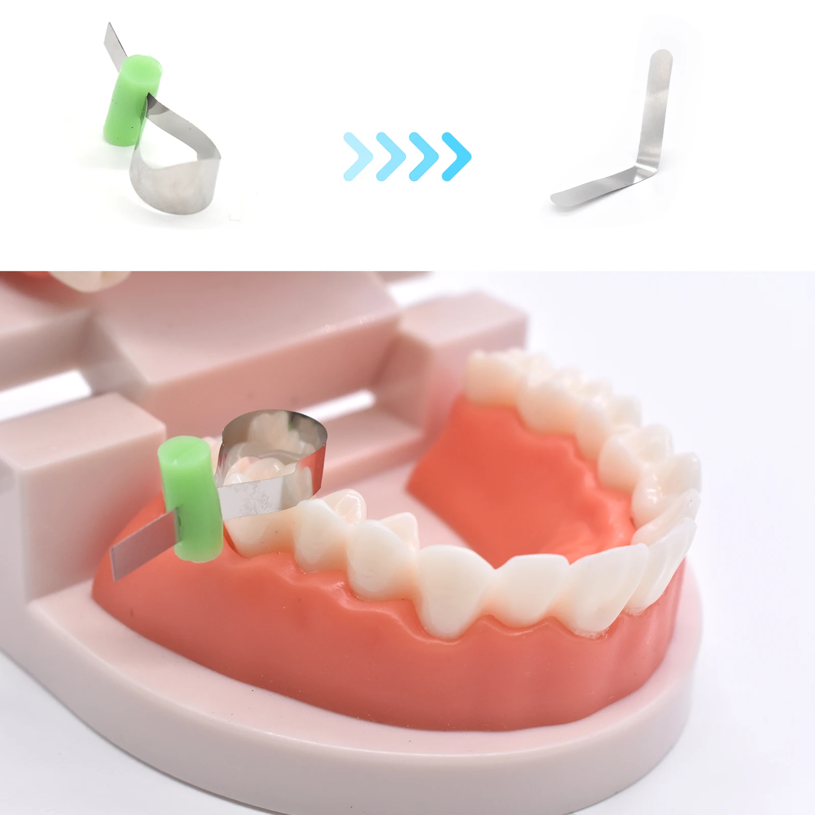 Hoja de formación Dental para adultos y niños, Material de poliéster para dentista, matriz de Metal contorneada Seccional de ortodoncia