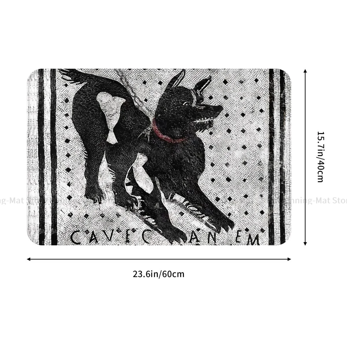 سجادة مطبخ مضادة للإنزلاق للكلاب كهف كانم حذار من كلب بومبي لاتيني سجادة مدخل باب سجادة ديكور داخلي #2