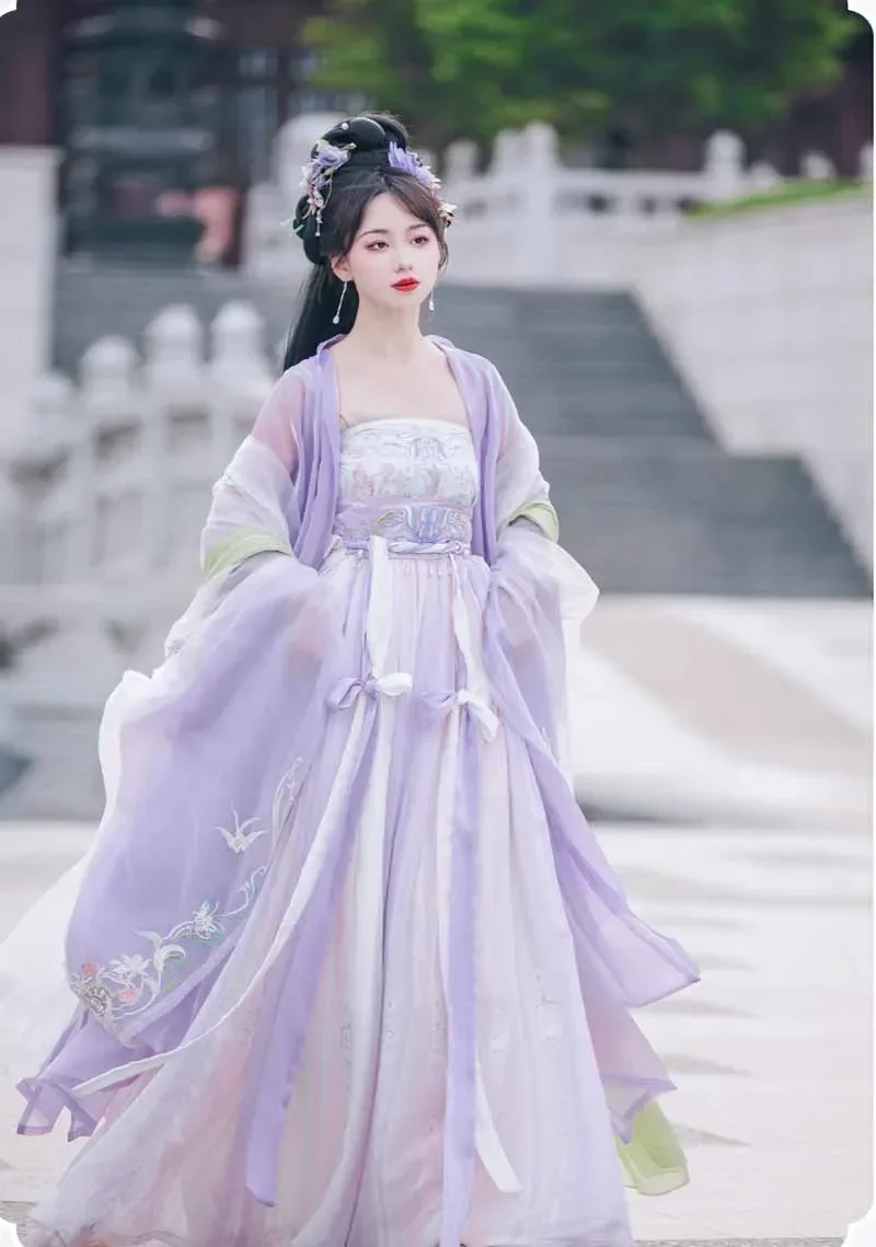 Hanfu Dress Women Ancient Chinese Traditional Embroidery Hanfu Female Fairy Cosplay Costume Outfit Summer Purple Hanfu Dress