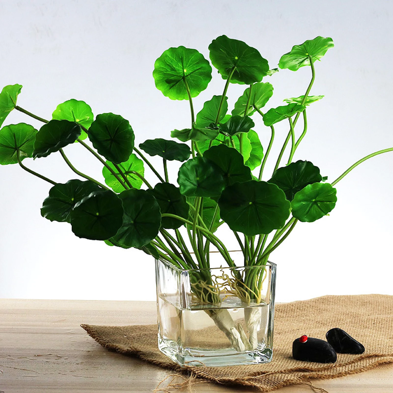 

2Pcs Glass Vase Simple Design Home Decor Flower Arrangement Container Glass Vase Decorative Vases for Home Decor