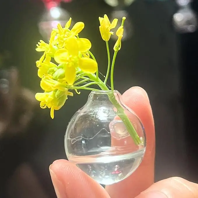 Mini Bud Vases Magnetic for Fridge – Cute 3D Creative Tiny Ceramic & Glass Flower Vase Magnets for Refrigerator, Kitchen, Locke