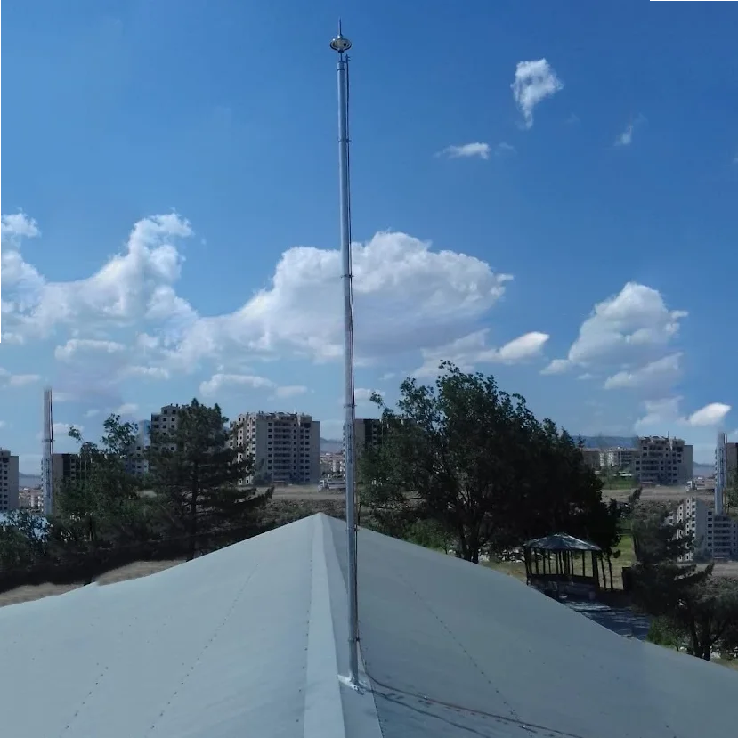 ESE Rod Arrester Surge Protection House Lightning Rod Lightning Rod Harga Turki