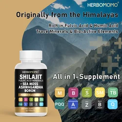 Natural Shilajit Resin Original Drink Mineral Supplements for Immune Health, Metabolism Overall Physical Health - 60 Count