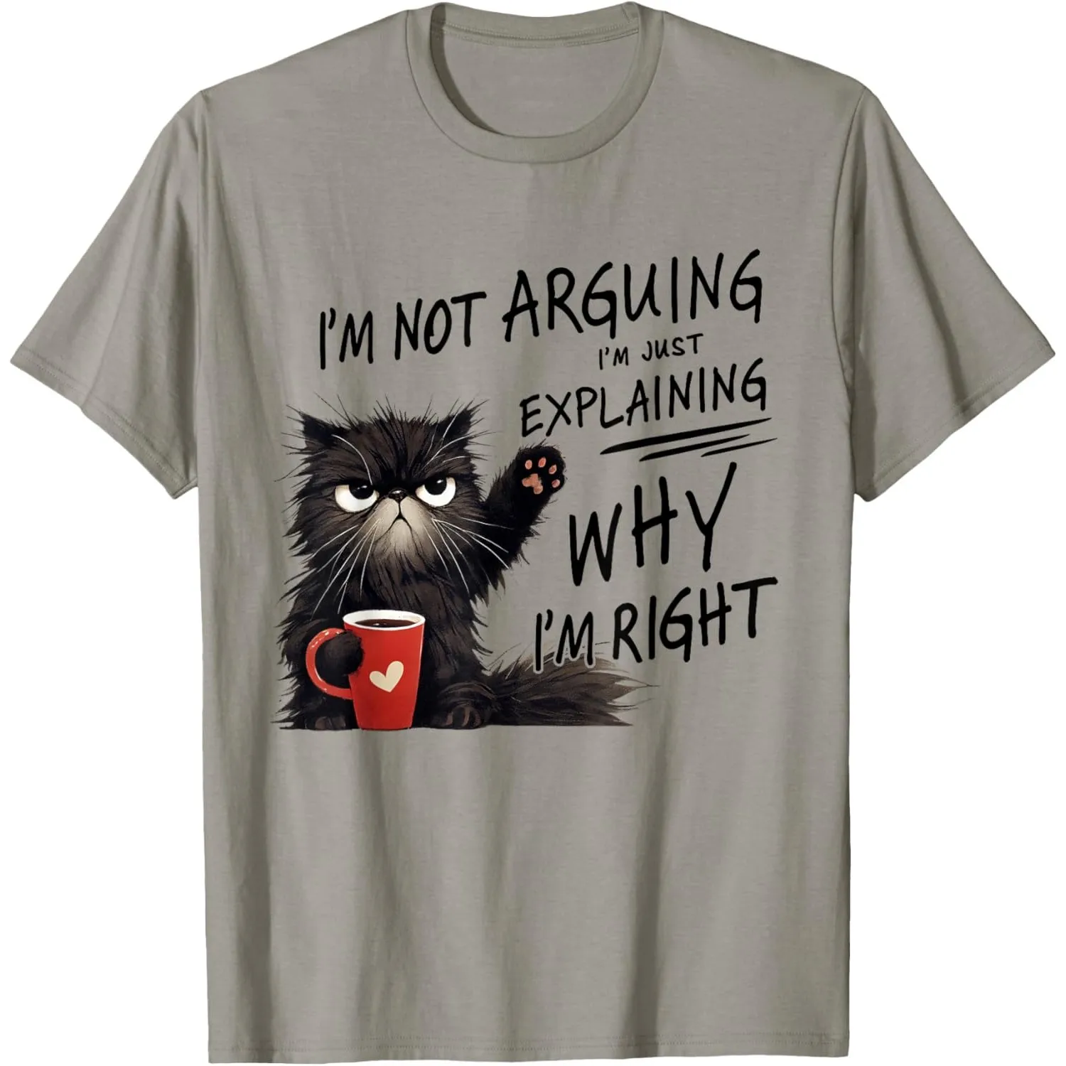 Funny Persian Cat I'm Explaining Why I'm Right Graphic T-Shirt Casual Short Sleeve Crewneck Tee