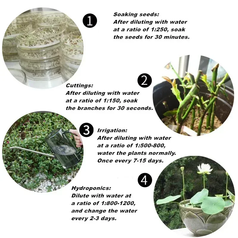 10g Quickly Rooting Powder Hormone Regulators Growing Seedling Recovery Germination Vigor Aid Fertilizer Home Garden