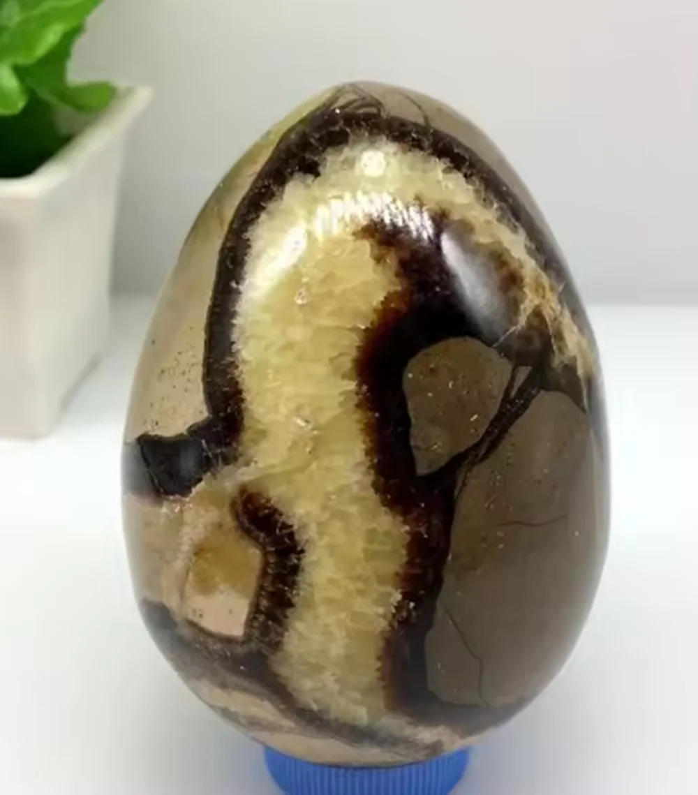 DRAGON SEPTARIAN Polished Egg Ball, High Quality