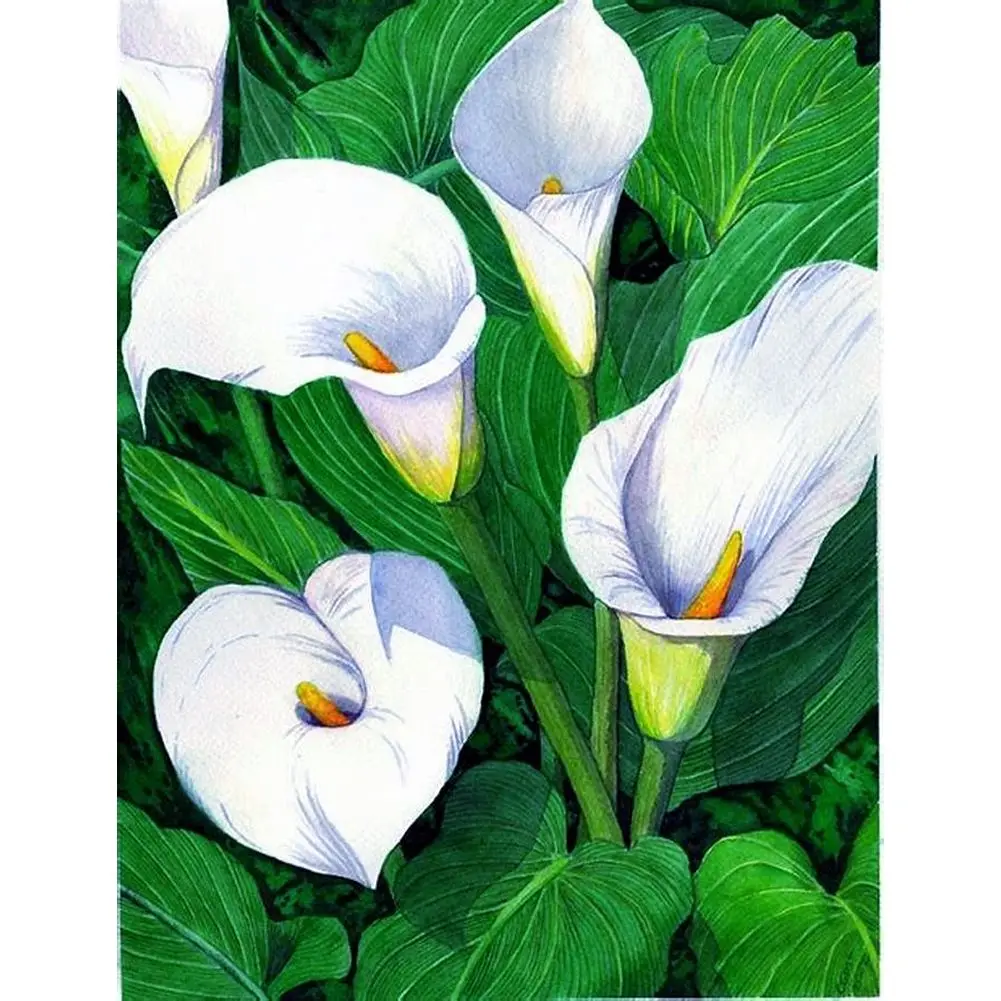 Tropical Calla Lily Diamond Painting Botanical Wall Art Full Square 5D DIY Mosaic Diamond Embroidery Modern Floral Nature Decor