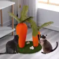 2 Carrot 40x30x40cm