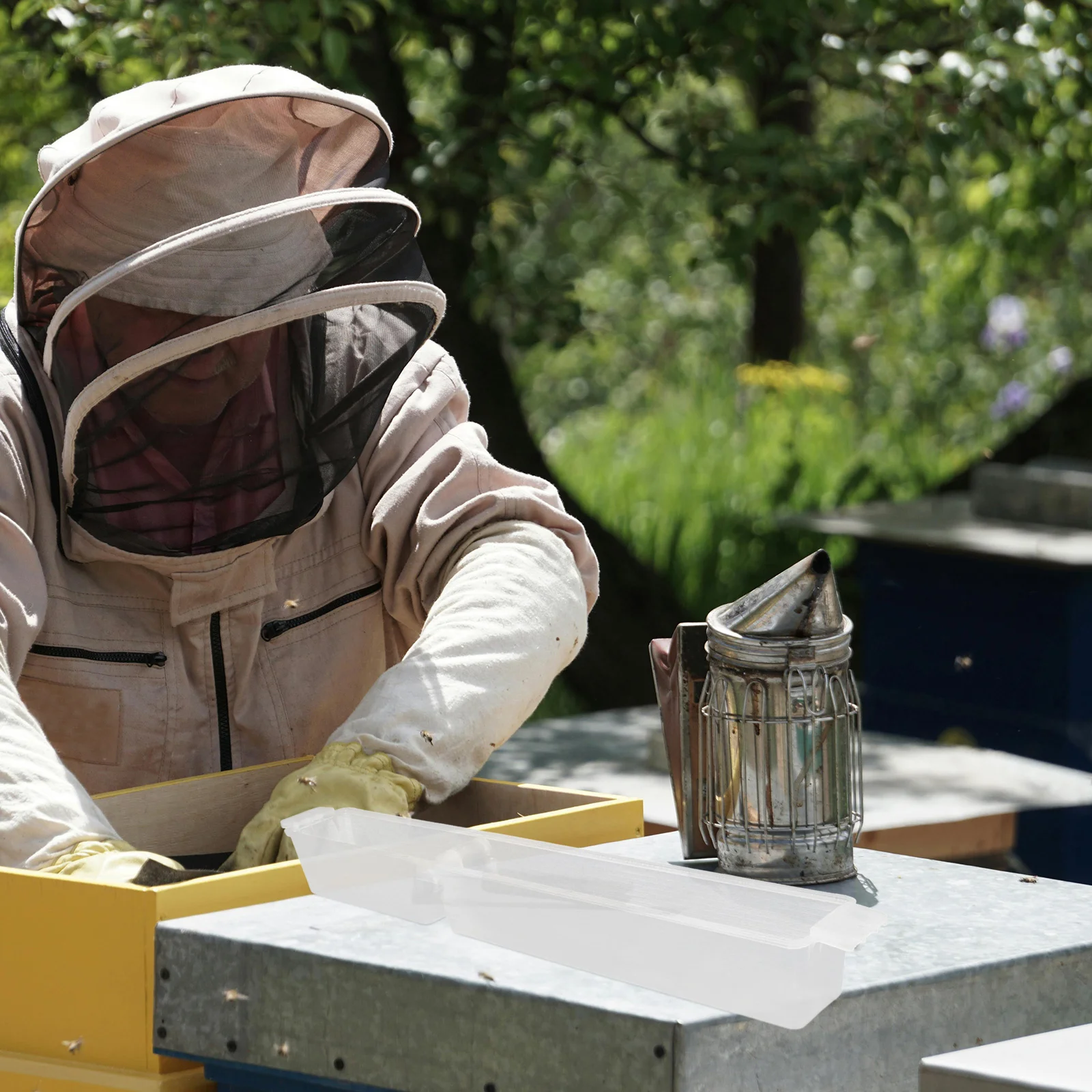 

4Pcs Plastic Bee Feeder Durable Hive Tool for Efficient Beekeeping Essential Watering Tray Supplies Bee Feeder