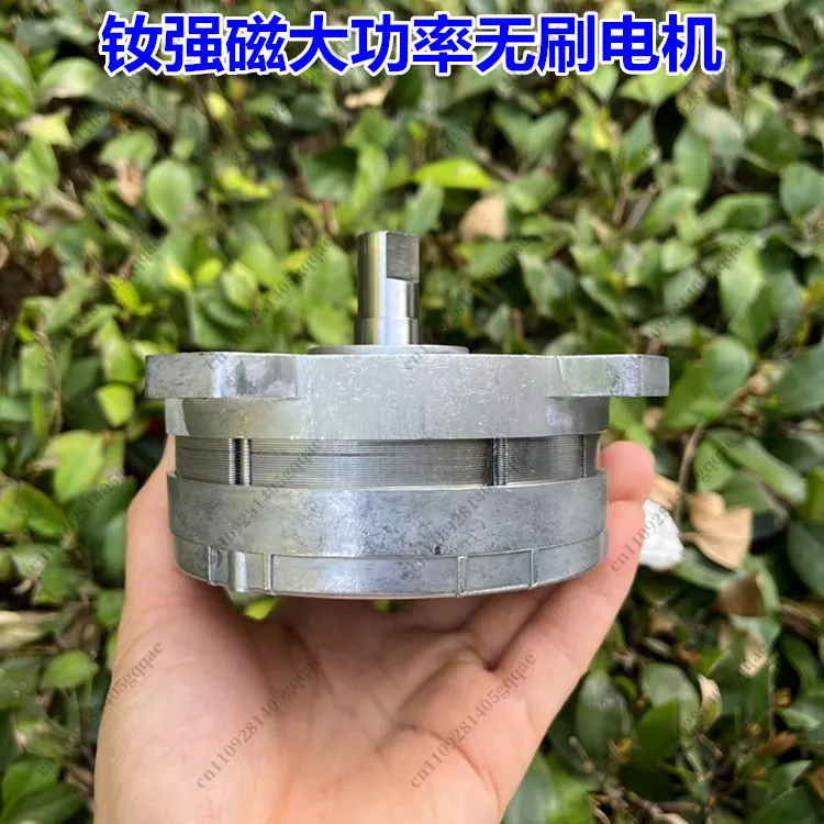 12V 24V 36V Neodymium Strong Magnetic High Power Brushless Motor 40V 550W High Torque Mechanical Power Lawn Mower Motor