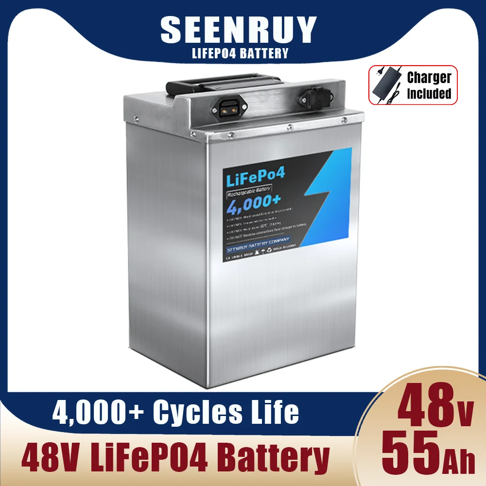 48V 55Ah Lifepo4 Battery Pack Built-in BMS 1000W 2000W for Electric Wheelchair Takeaway Motorcycle Tricycle with 10A Charger