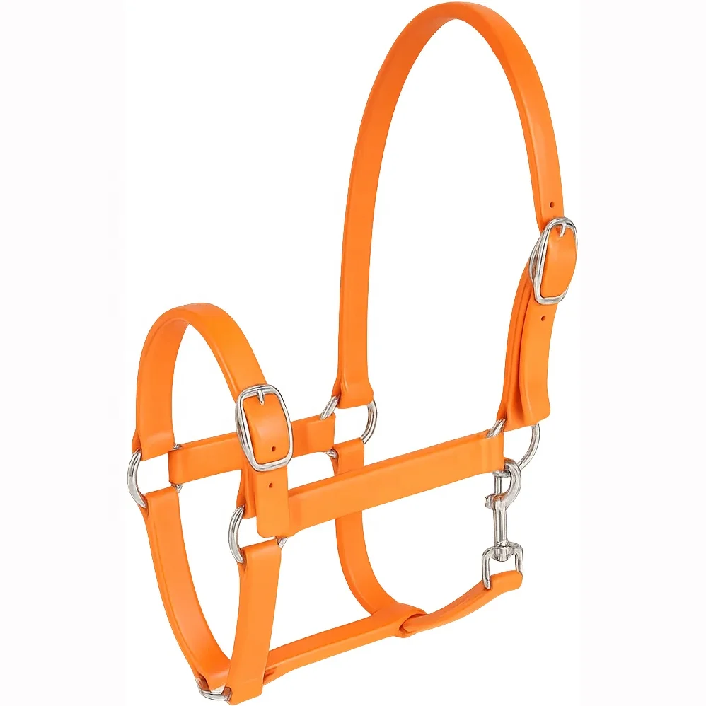 

Waterproof High Quality Miniature Halters Odor and Dirt Resistant Material Sustainable Design 2026 New