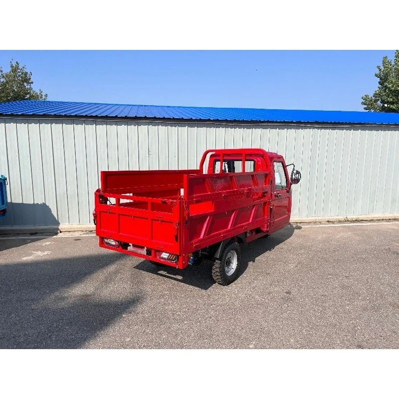 CE CE COC EEC DOT Electric Enclosed Tricycle 3000W 45km/h Lithium Battery 150km Range Tuk Tuk for Adults