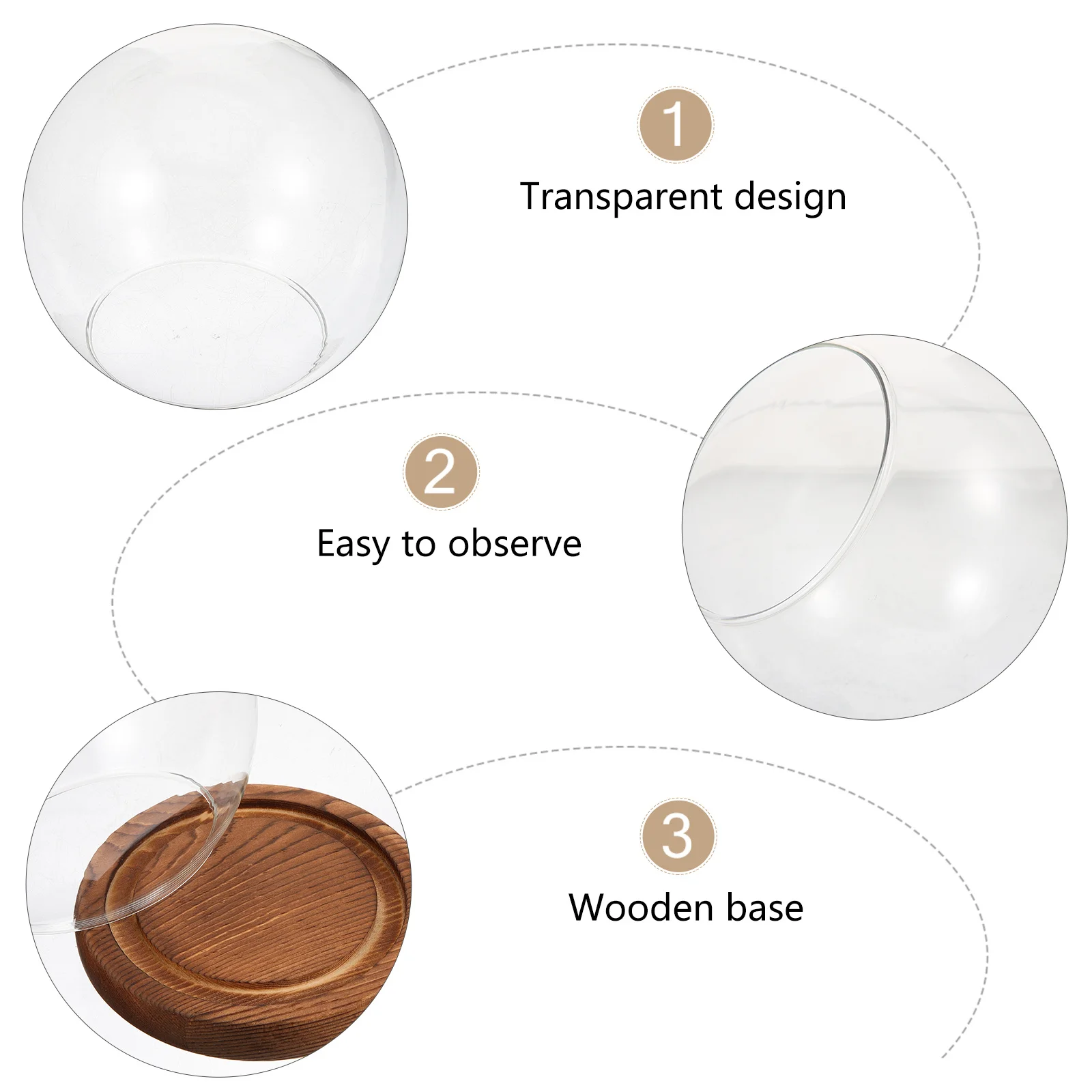 1Set Eternal Flower Glass Dome Round Shape Clear Display Case Vintage Wood Base Romantic Desktop Decor Valentine Gift