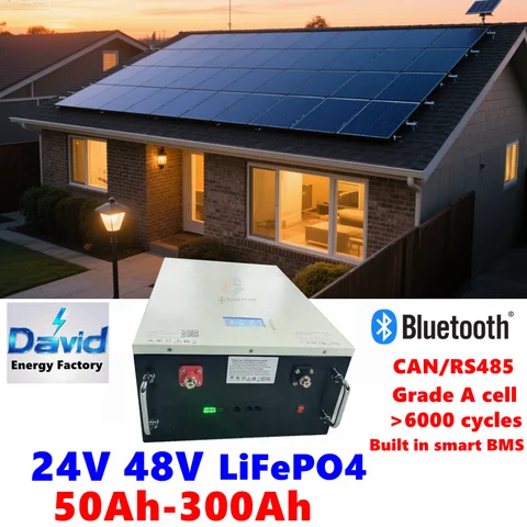 2KW 3KW 5KW 24V 48V Energia solare 100ah 150ah 200ah 50ah Batteria al litio LiFePO4 per accumulo di energia PV Potenza inversa domestica