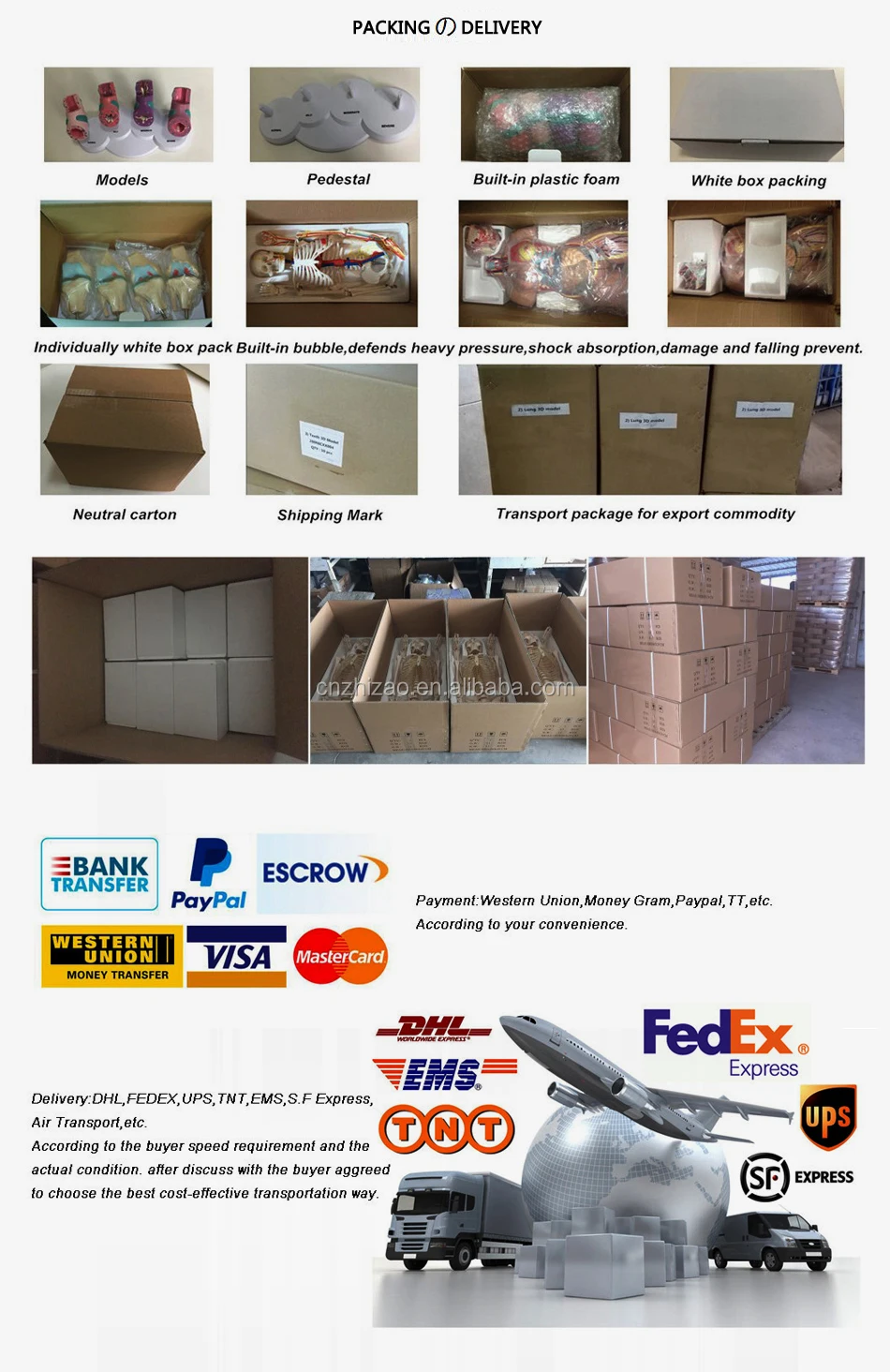 General Doctor Advanced Low-Set Bandaging Nursing Model for Medical Training