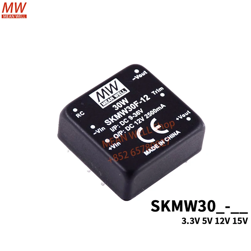 MEAN WELL Switching Power Module 30W 1