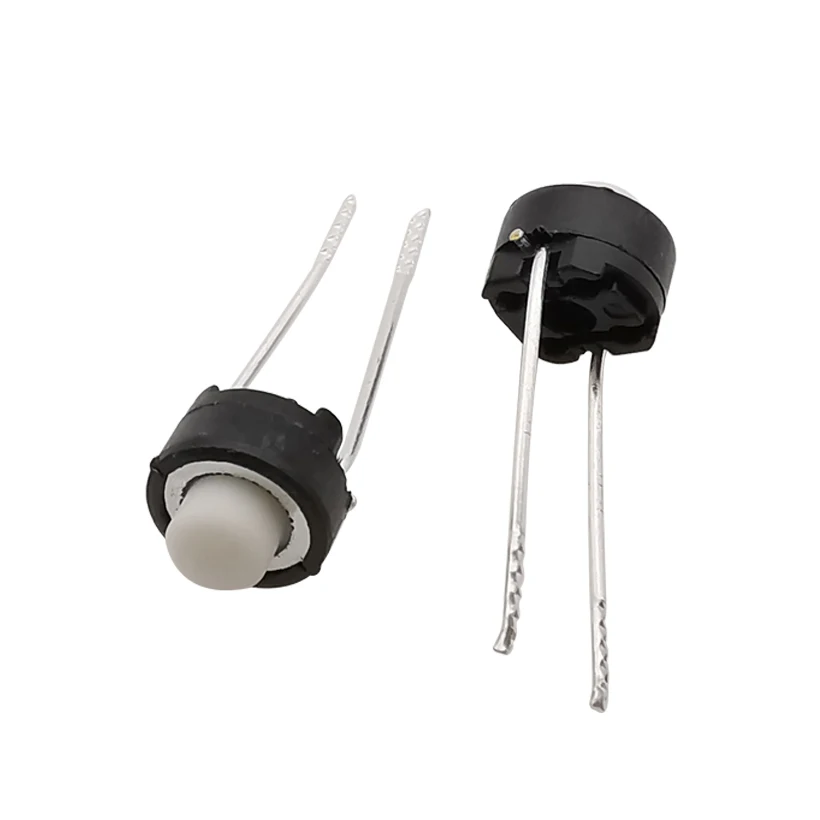 10/20/50/100Pcs Mini 6x6x5mm DIP Round Touch Switch Momentary DIP 6x6x5mm 2 Pin Micro Switch Button Keys