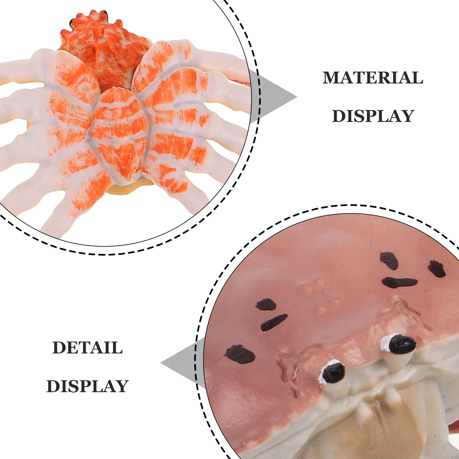 2Pcs Realistic Crab Decor Safe PVC Early Learning Simulated Animal Decoration for Kids Home Classroom Use Crab Decor