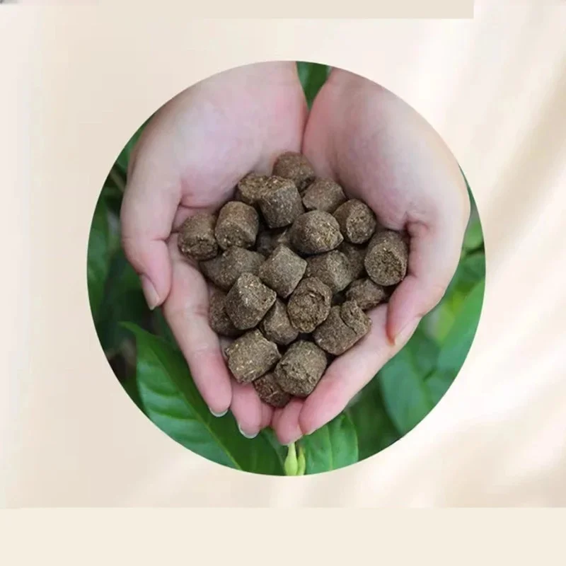 250g Jade Fertilizer, Bonsai Pine And Cypress Special Long-term Organic Slow-release Fertilizer Granular Flower Fertilizer