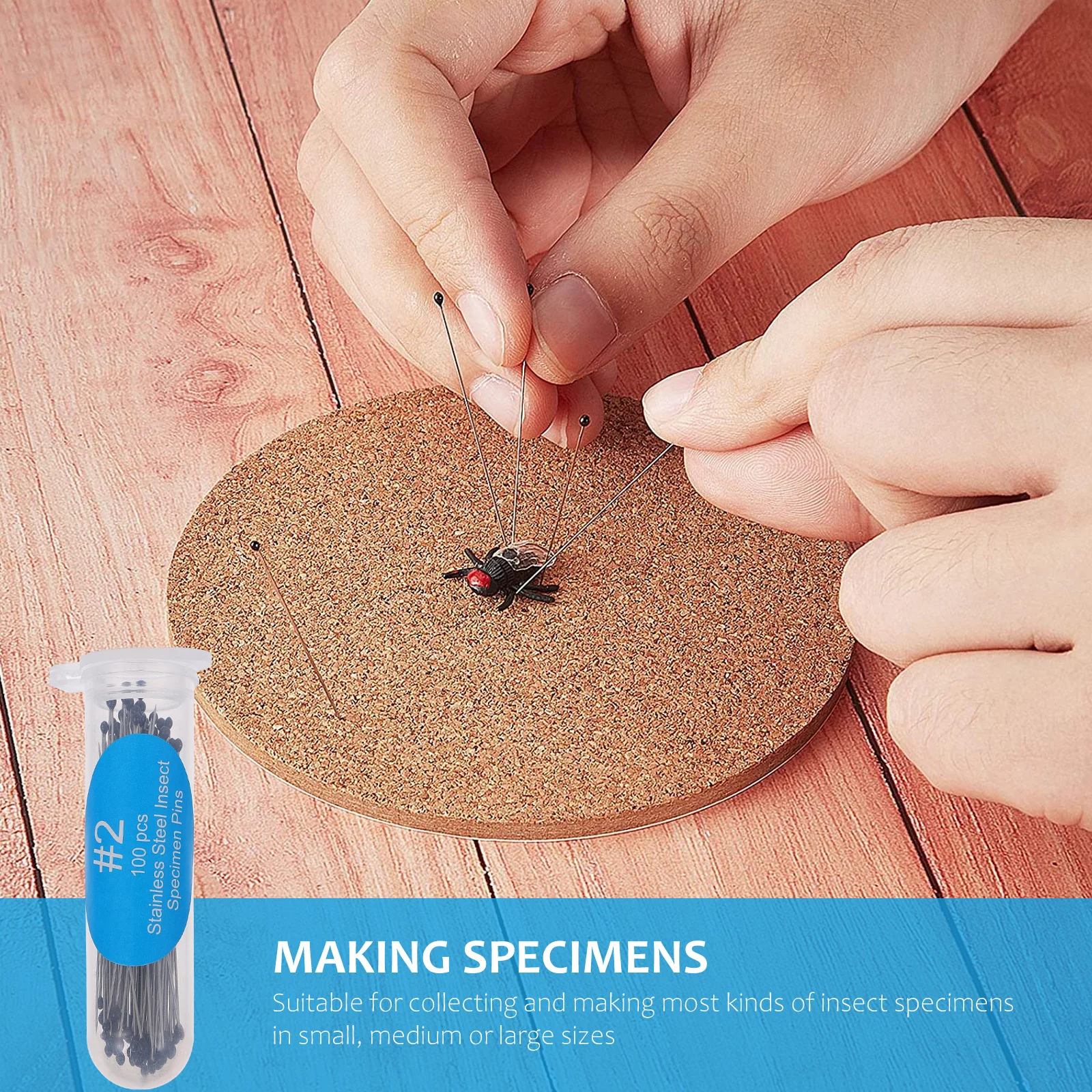 

300Pcs Stainless Steel Specimen Pin 40Mm for Entomology Needles Dissection Organizer Storage Portable