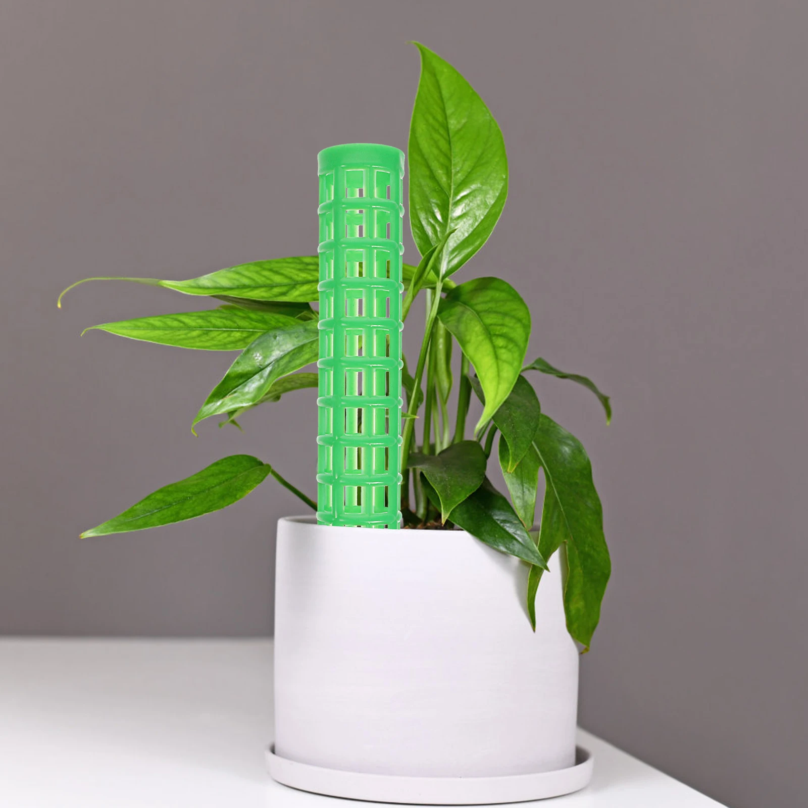 

2pcs Plant Climbing Column Moss Pole Sticks Plants Support Garden Stakes for Monstera Frame Trellis Poles Stackable Indoor