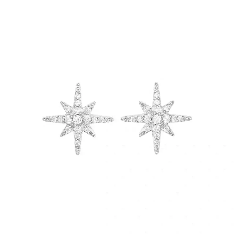 LI KI High Quality 925 Silver Meteor Tassel Earrings Temperament Versatile Elegant  Jewelry Gifts For Friends view 4
