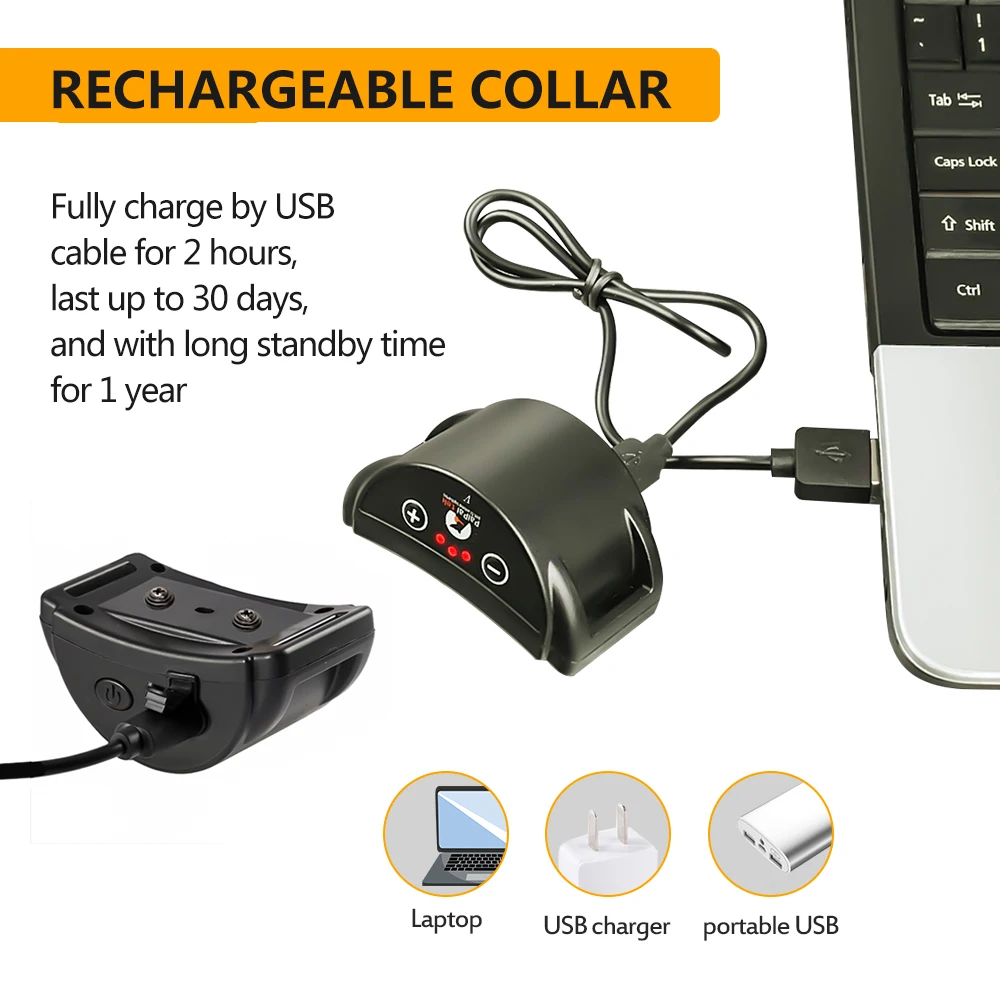 Thumbnail 4 - #10 Best Dog Collars to Buy In 2026