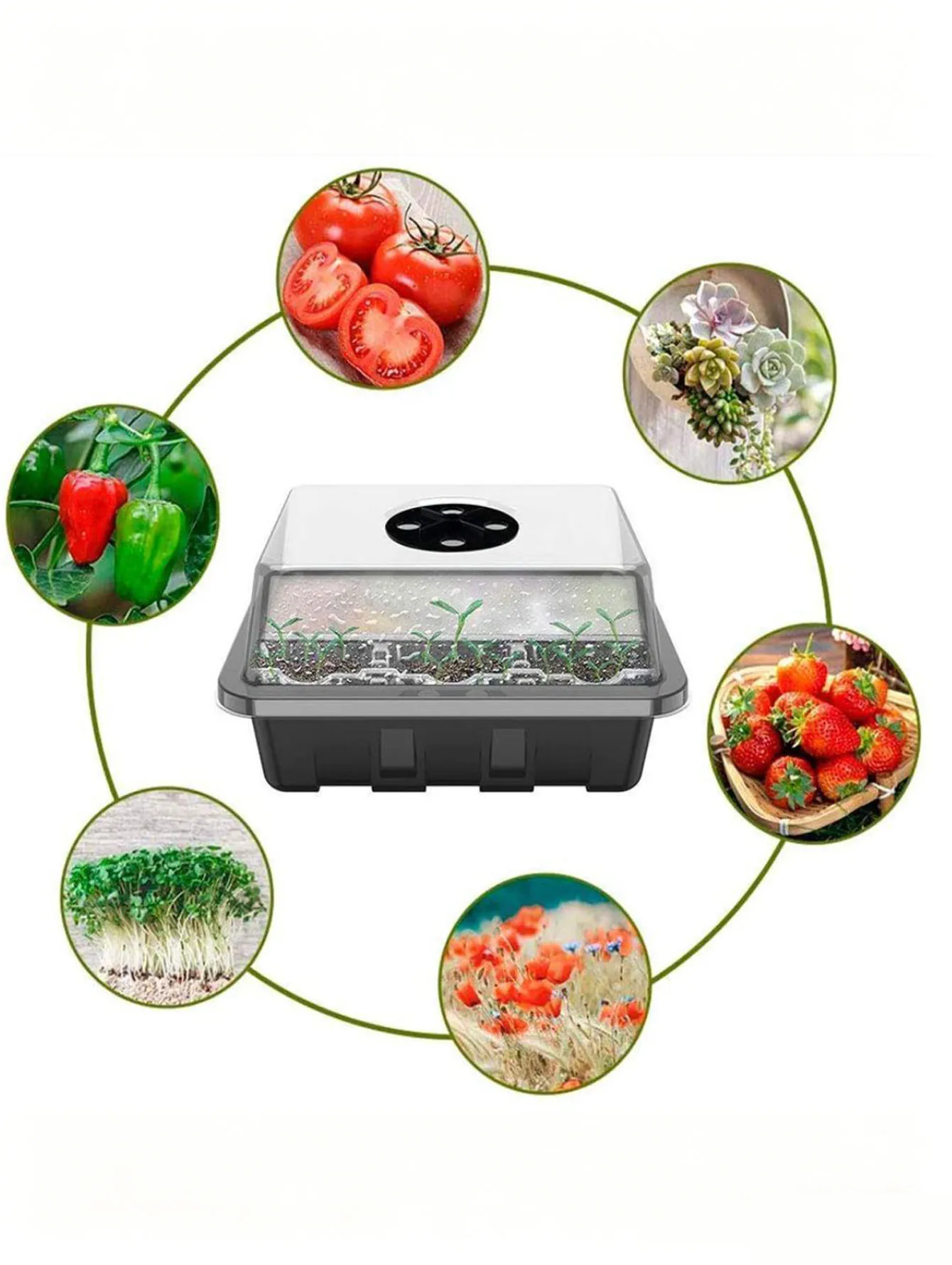 1/2pc 6/12-Hole Seedling Tray, Thickened Plastic with Drain Holes. Ideal for Succulent Sprouting, Indoor/Outdoor Use.