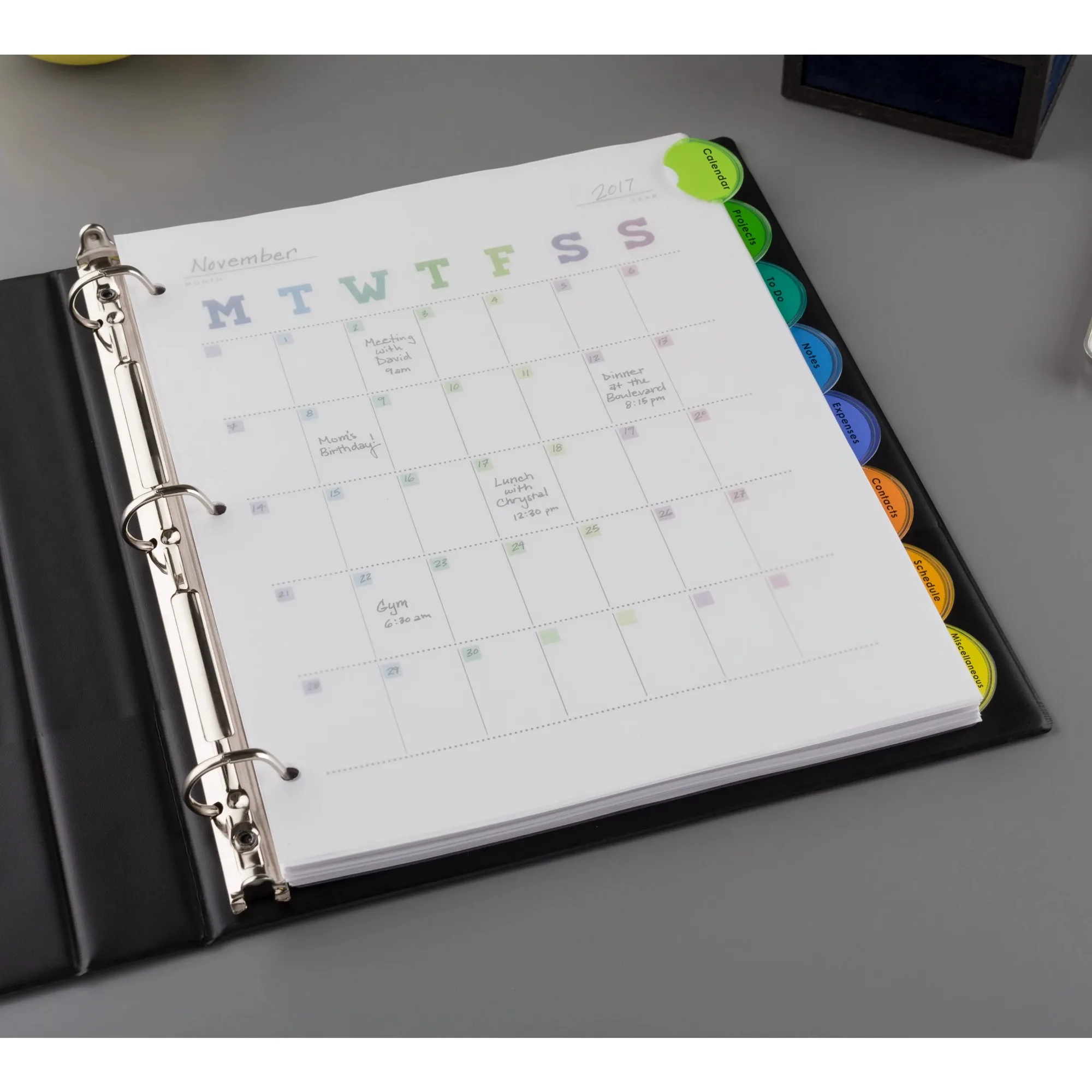 (2팩) 삽입형 분리기, 스타일 엣지, 8탭, 플라스틱, 인쇄 가능한 삽입물, 다색 탭, 1세트