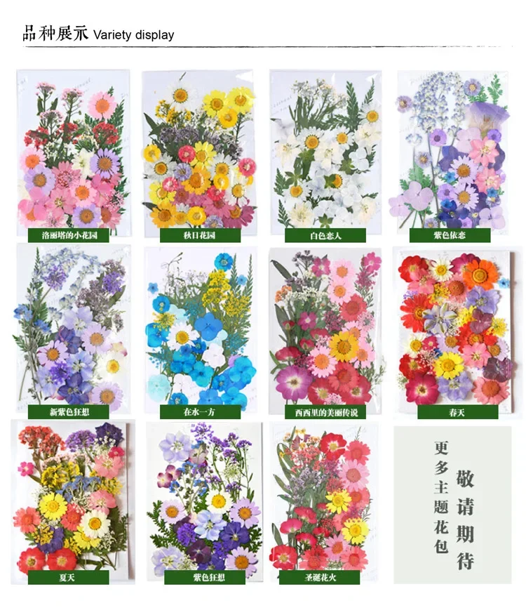 Small Pressed Flowers for Scrapbooking, Dry DIY Preserved Flower Decoration, Home Flower Material, Embossed Face Petal