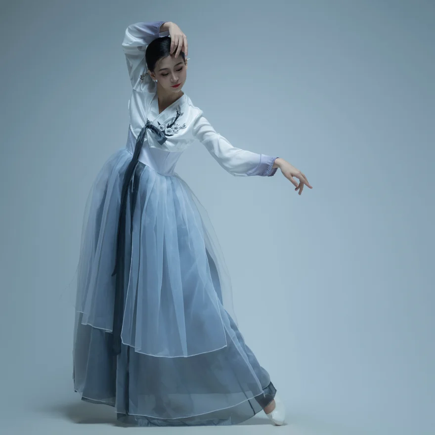 Traje de danza tradicional coreana Ele, nueva falda Sle para mujer, traje de práctica de actuación en escenario etéreo Dain