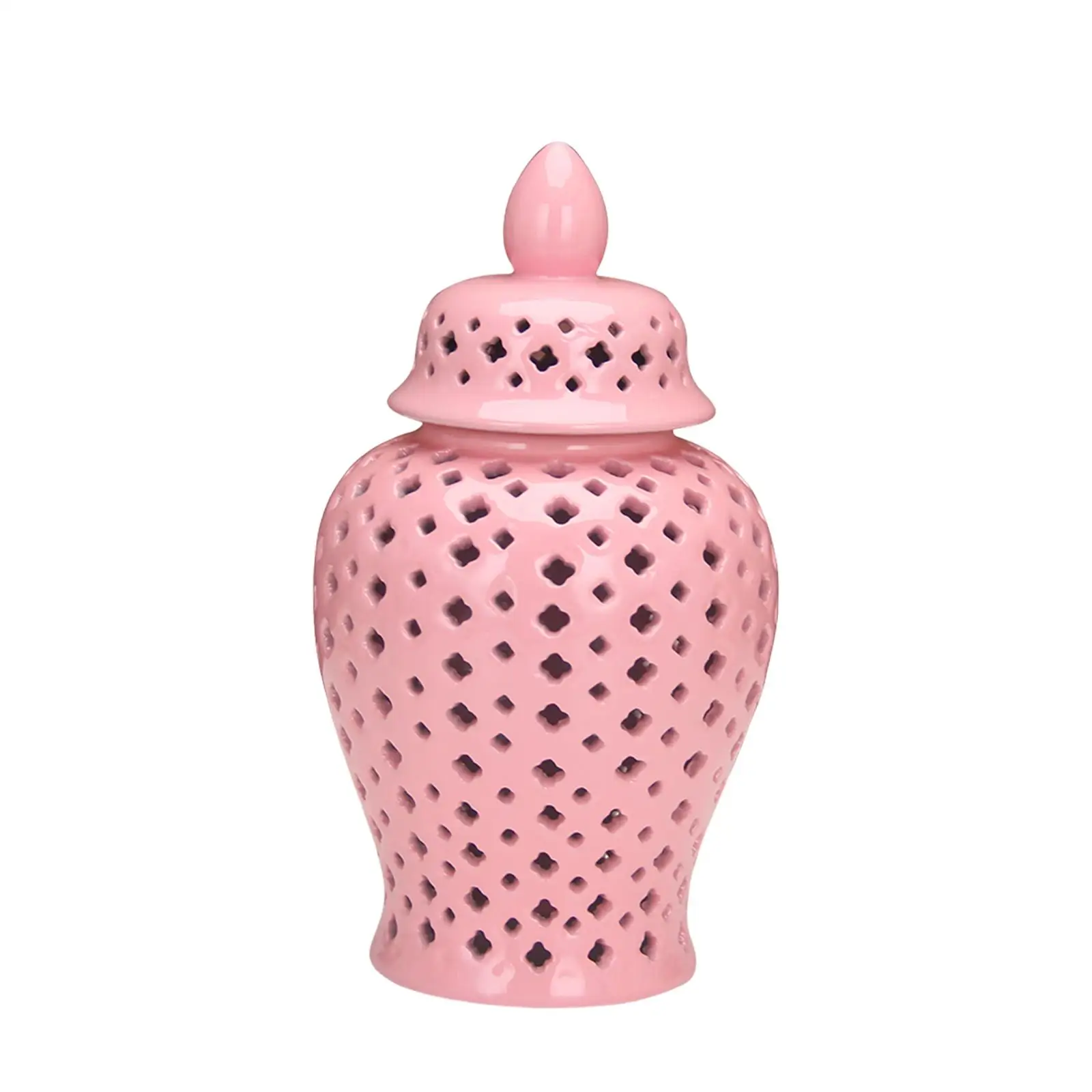 Porcelain Ginger Jar Hollow Out Decorative Ceramic Vase with Lid Table Ornament for Living Room Floral Arrangement