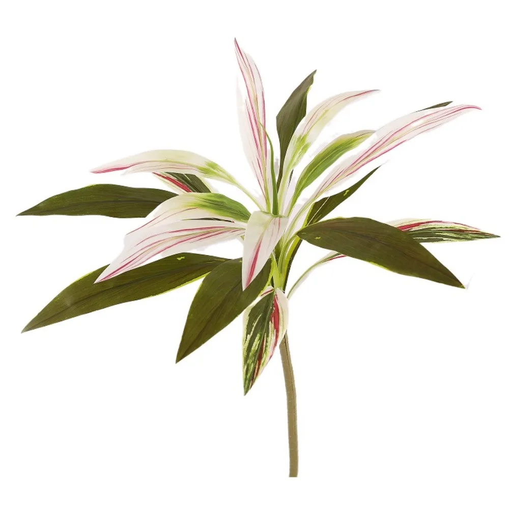 

DIY Vase Decor Large Artificial Cycas Plants Plastic Realistic Brazilian Beauty Tequila Handmade Fake Plants Floral Material