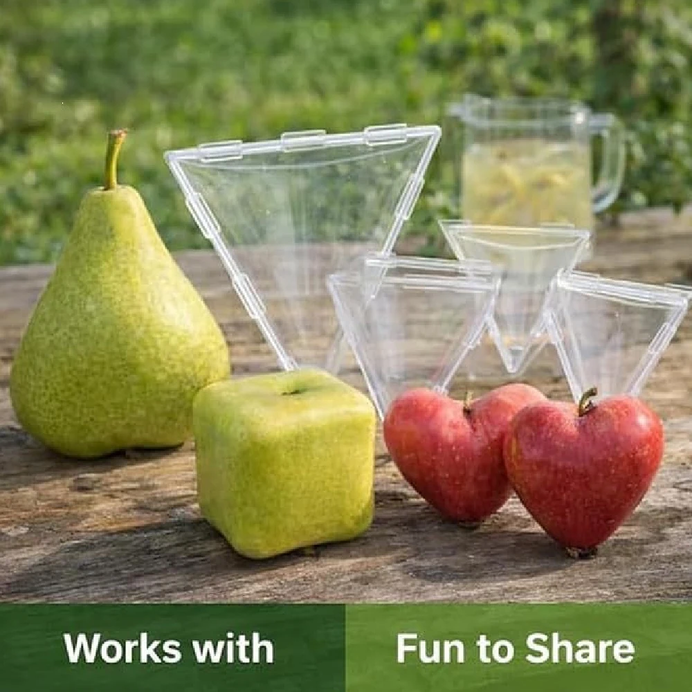 1/2PCS Vegetable Molds for Growing, Reusable Square Fruit Shaped Mold, Transparent Square Pumpkin Molds for Growings